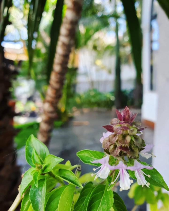 Tlaquepaque Pueblito Hotel ภายนอก รูปภาพ